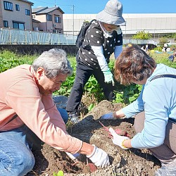 令和６年１０月２０日（日）あい・ふぁ～む芋掘り